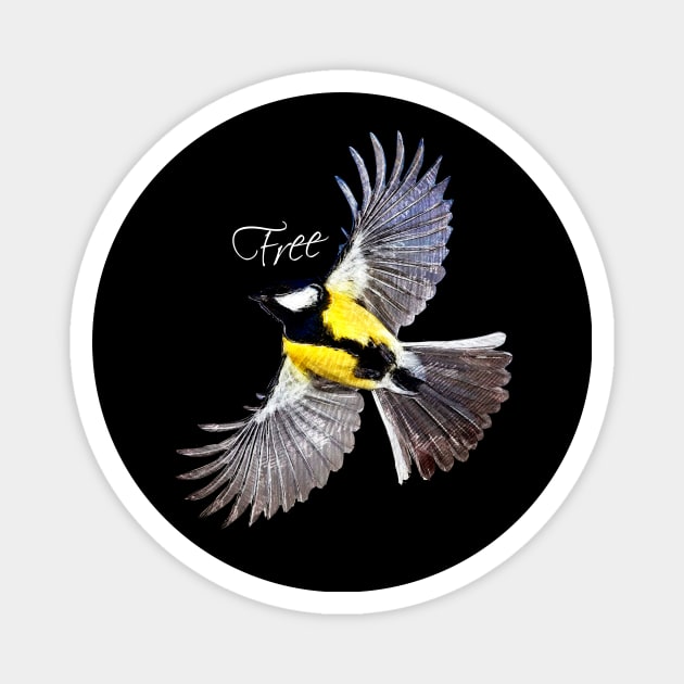 Free bird Magnet by FitnessDesign